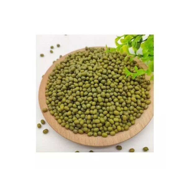 Premium Export Grade Green Beans