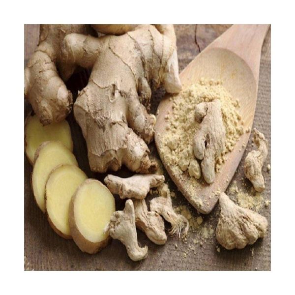 Fresh Ginger Root