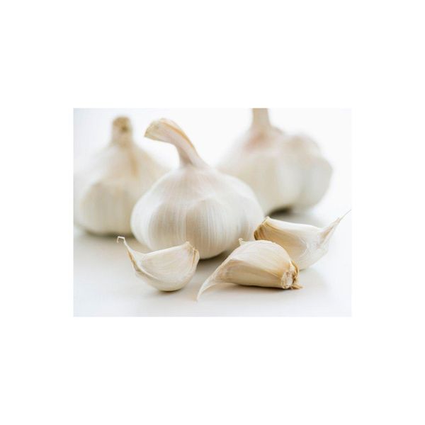 Fresh Peeled Garlic - High Quality