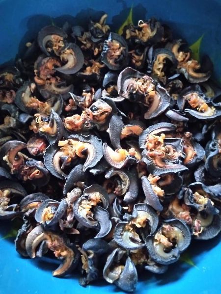 Dried Africa Snail