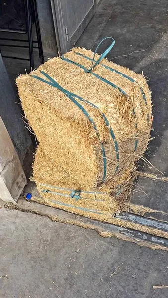 Wheat Straw Product 2
