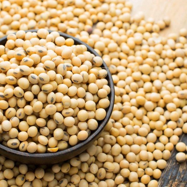 Non-GMO Soybean Product