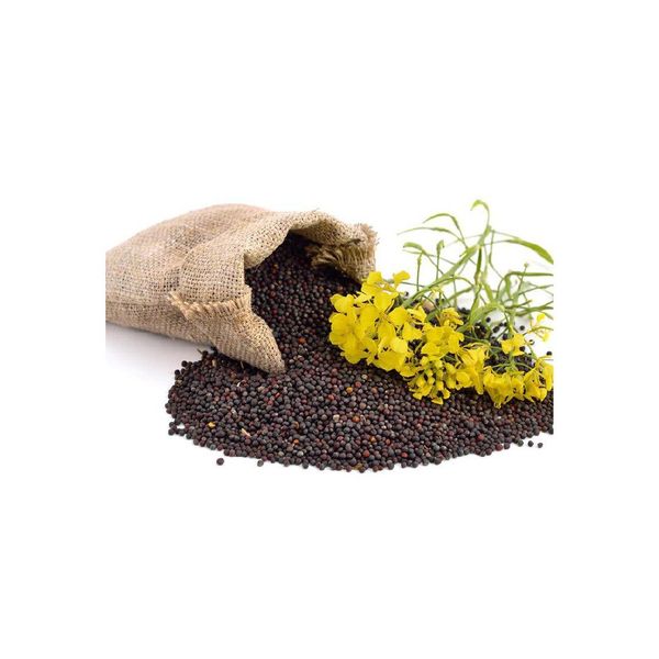 Rapeseed Crop