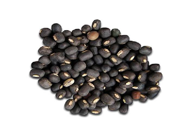 High quality black gram in bulk