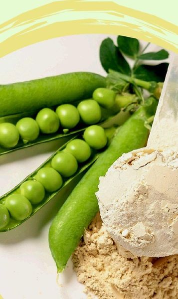 Pea Protein Isolate Product