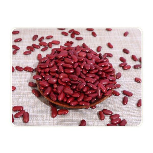Bulk Red Kidney Beans - Commercial Grade