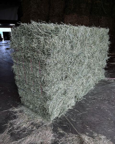 Timothy Hay Bales