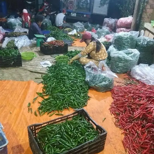 Fresh-Red-Chilli