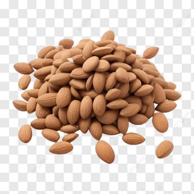 Natural almond kernels arranged neatly