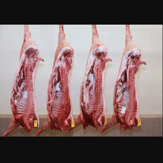 Packaged frozen pork body