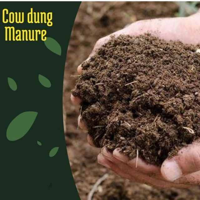 Cow Dung Manure Image 2