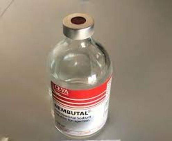 Copper Sulfate Solution
