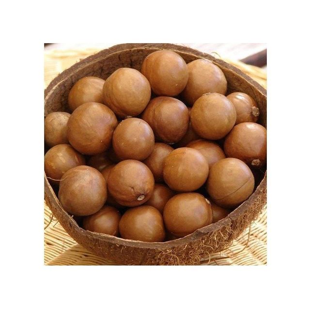 Bulk Macadamia Nuts