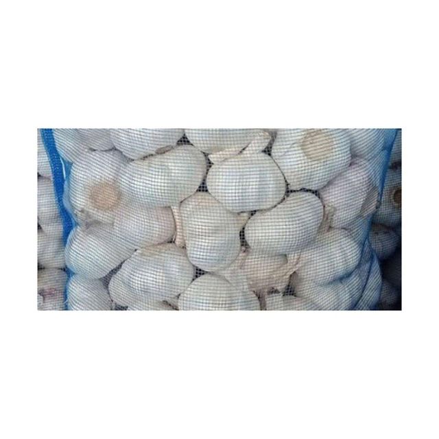 Fresh Red Garlic
