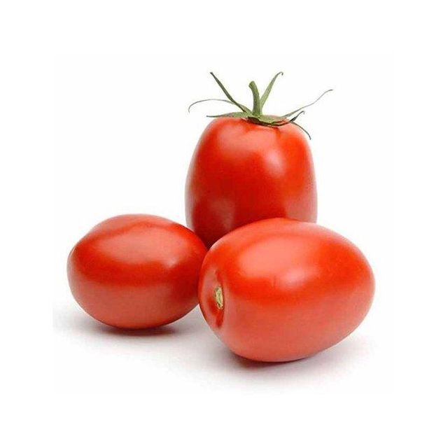 Tomato paste in bulk can