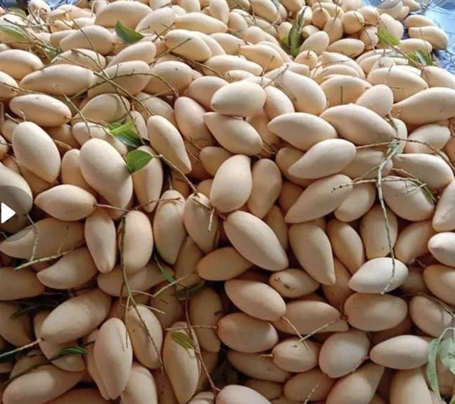 Stacked fresh mango fruits