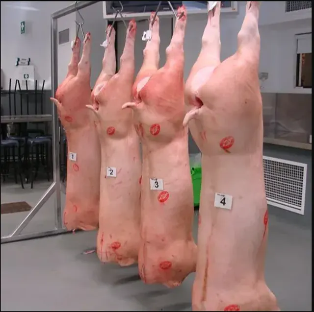 Frozen pork cuts displayed