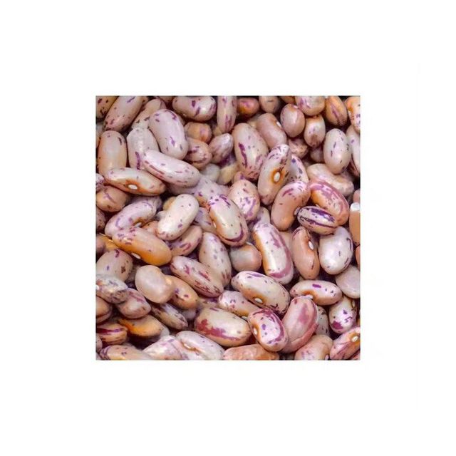 Sugar Beans
