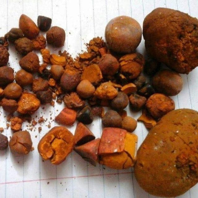 Cow Gallstone Product