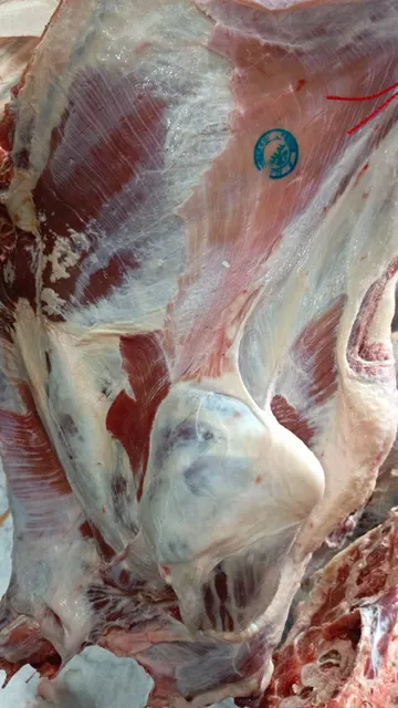 Chilled Bull Beef Presentation