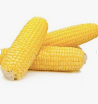 Maize Yellow Corn