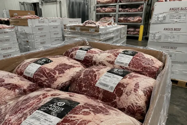 High Quality Angus Beef Bulk Export