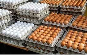 Brown and white chicken eggs in carton