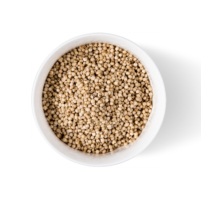Non-GMO Sorghum Grain