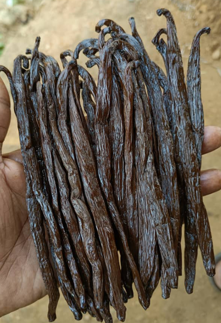 Vanilla Extract Product