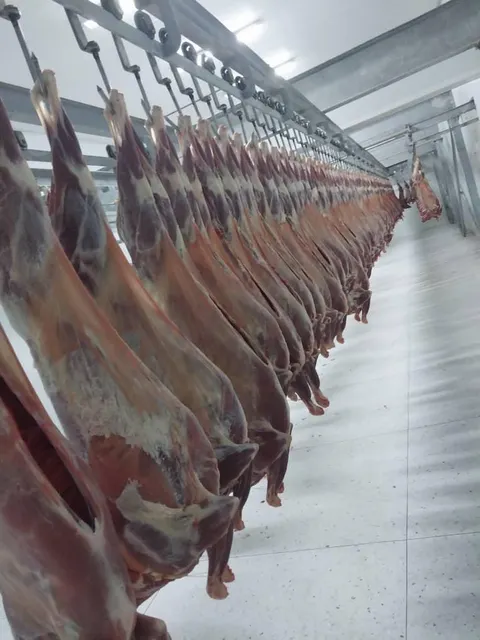 Frozen lamb products