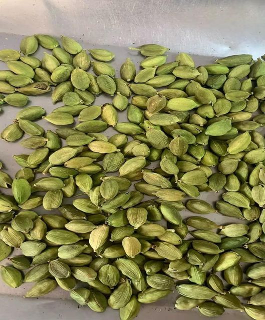 Green Cardamom Pods