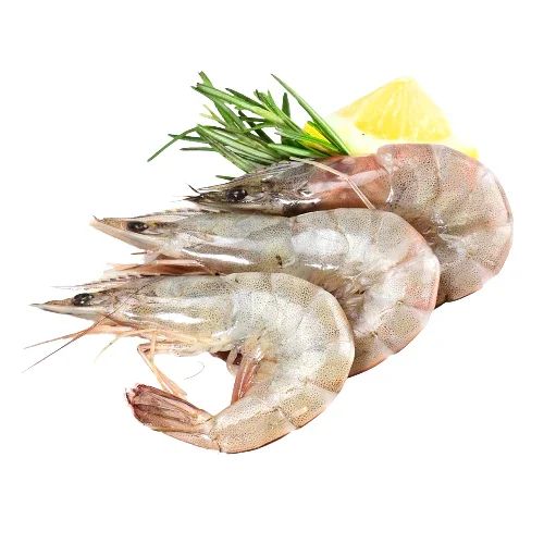Shrimp
