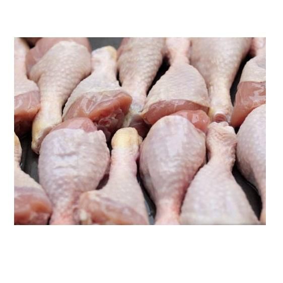 Fresh Chicken Drumstick