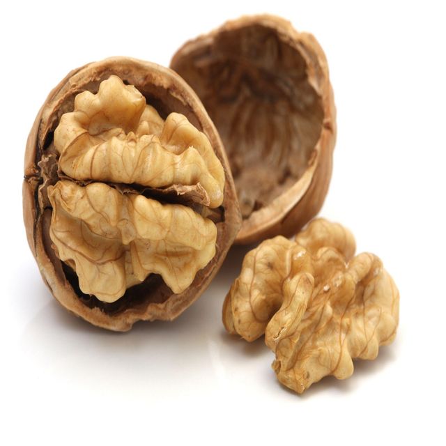 Organic Walnut Light Quarters