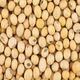 Soybean Meal