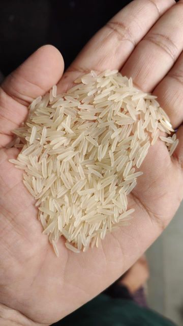 Rice Sella 1121 Product