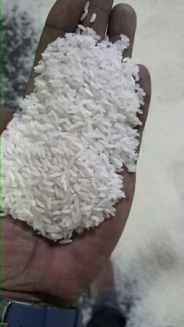 Sona Masoori Rice Grains Close-up
