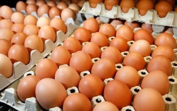 Basket filled with clean brown eggs