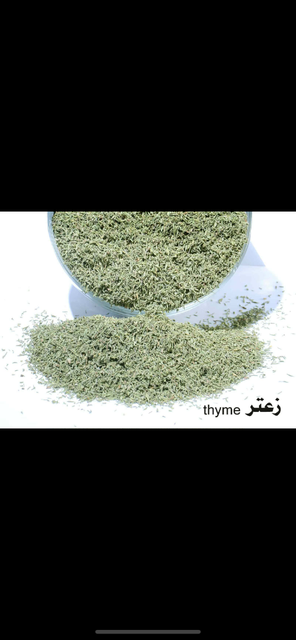 Aromatic Plant 1