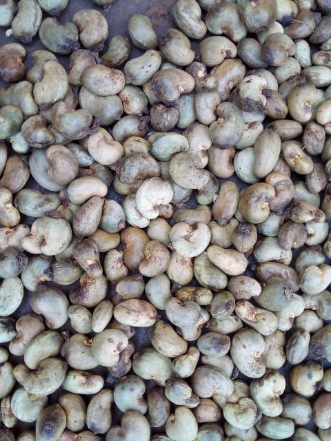 Cashew nuts product image 4