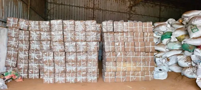 Cocopeat Block product image 14