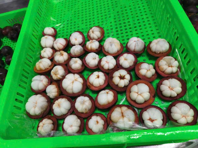Frozen Mangosteen 1