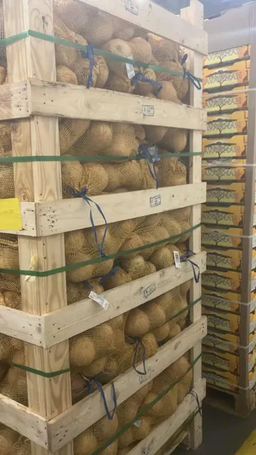 Vietnam Semi-husked Coconut