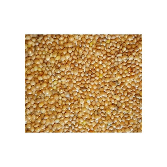 Yellow Millet 4