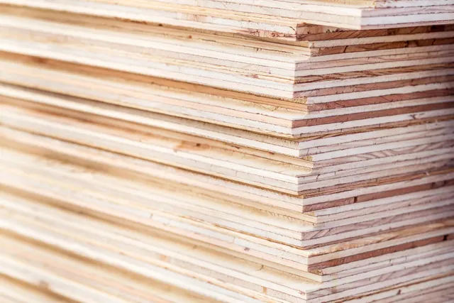 Softwood Plywood Image 3