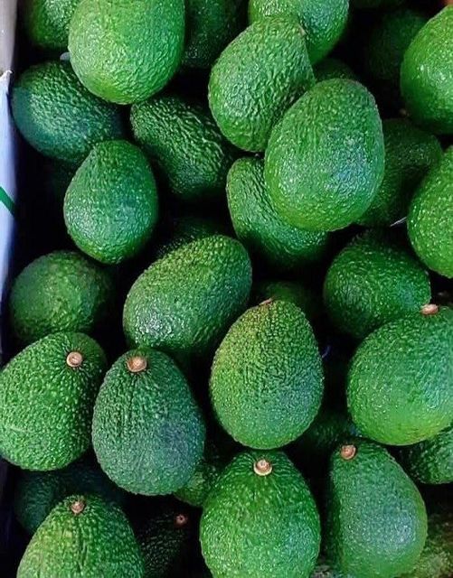 Dried Avocado