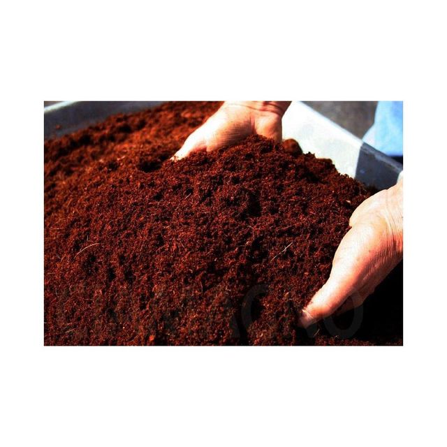 Coconut Peat - Premium for Farming and Landscaping Applications