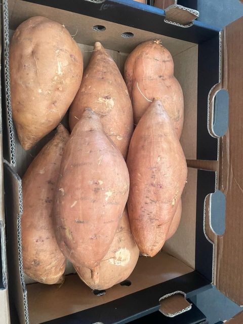 Sweet Potato Product 1