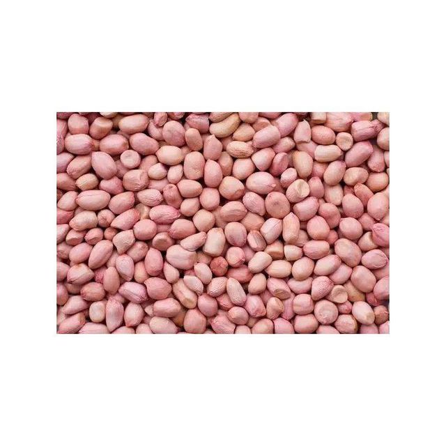 High Quality Raw Peanuts