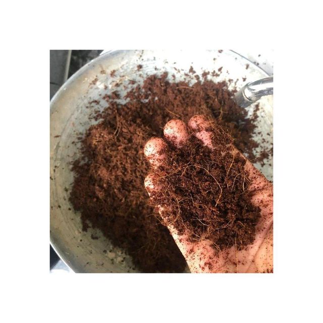 Coconut Peat Product